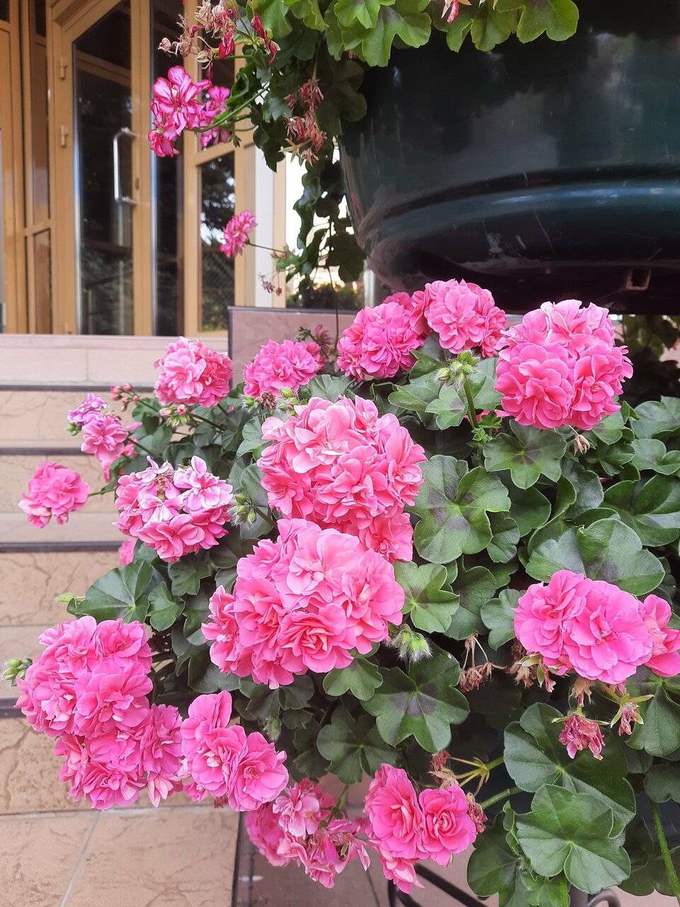 Фото Гостиницы Жемчужина Саратов 28